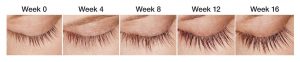 lash growth 16 weeks